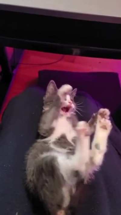 😸̔ㅤㅤㅤ<wbr>ㅤㅤㅤ