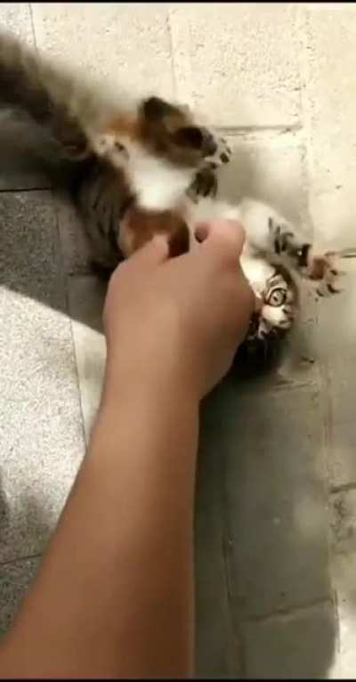 Tickles