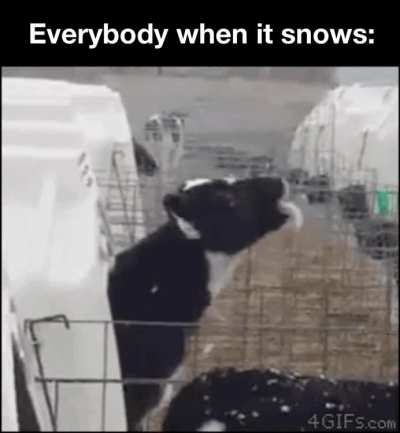 My super power is melting