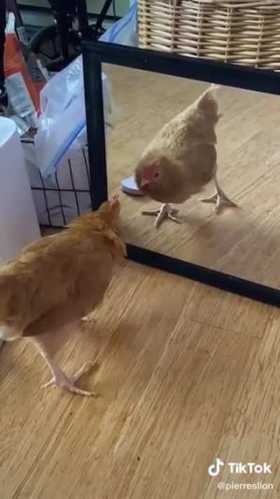 I'll beat my own ass !