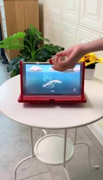 Phone screen magnifier