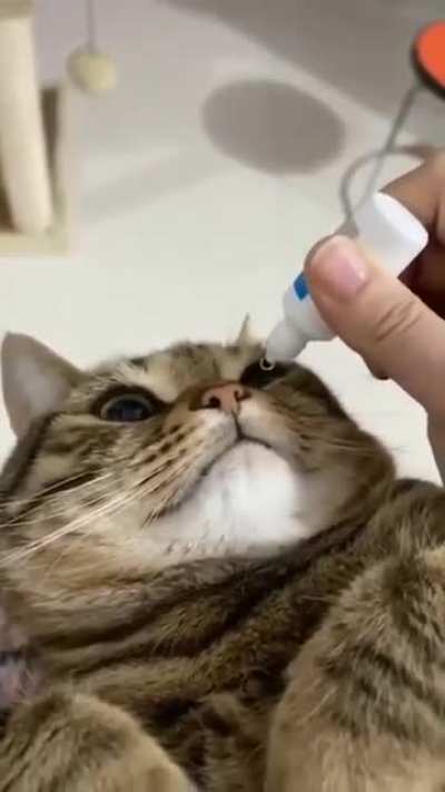 Yes!