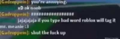 cant type bad words