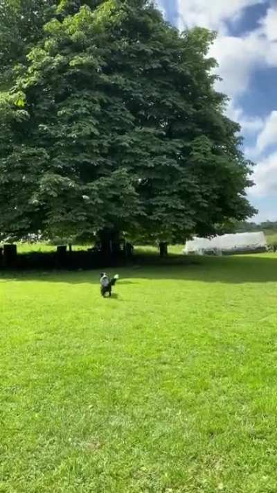 Dog catches frisbee and summons demons