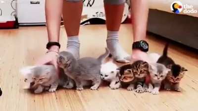 It's very tough to get a family photo