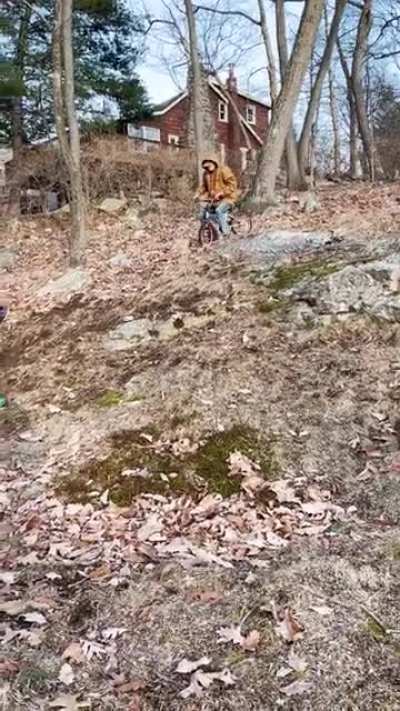 no title needed