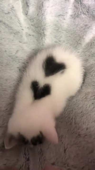 She said she loved me :