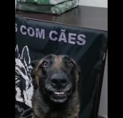 Bro loves his job