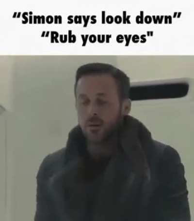 You lost idiot
