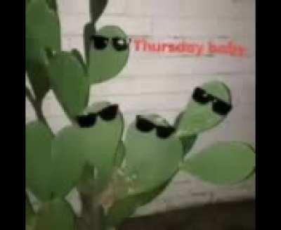 Thursday baby