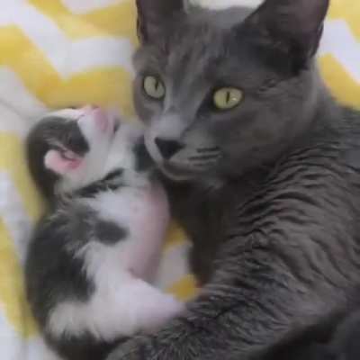 Cuddle Time