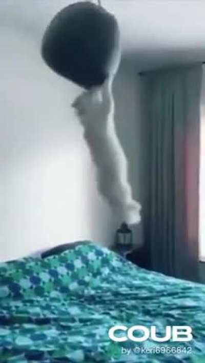 Catastrophe