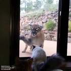 Where are the kids?