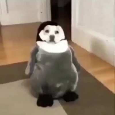 😶‍🌫️🦆