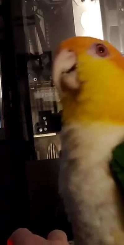 His favorite song