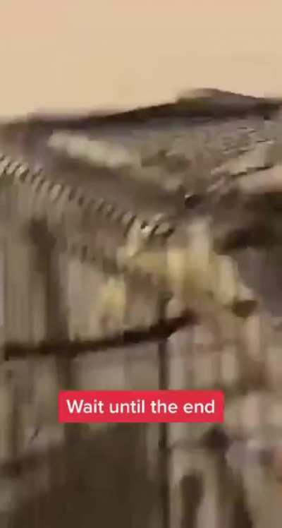 AAAAAA