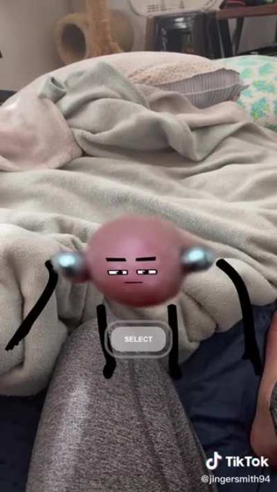 Wait, WHAT did she take a picture of and animate?