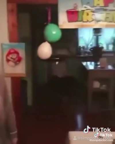 Bonk!