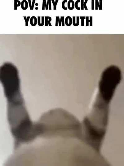 Day 1 of shitposting so this subreddit isn't the same 