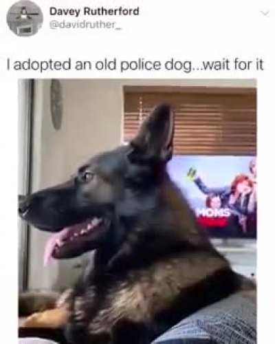 he'll have a long tail to share
