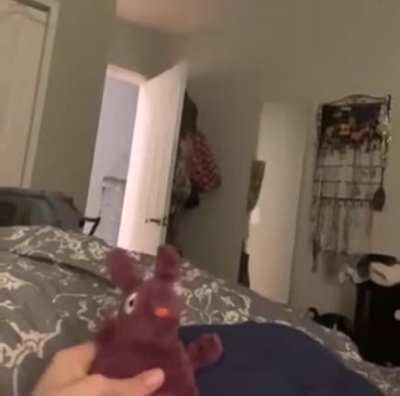 What is that Squeaking Sound Hooman