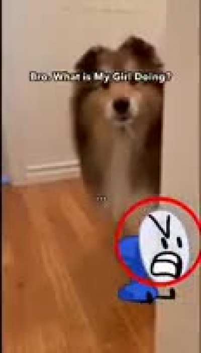 What.