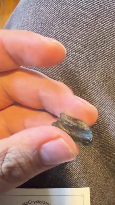Real Moldavite?