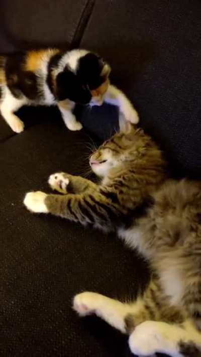 Can I eat it?