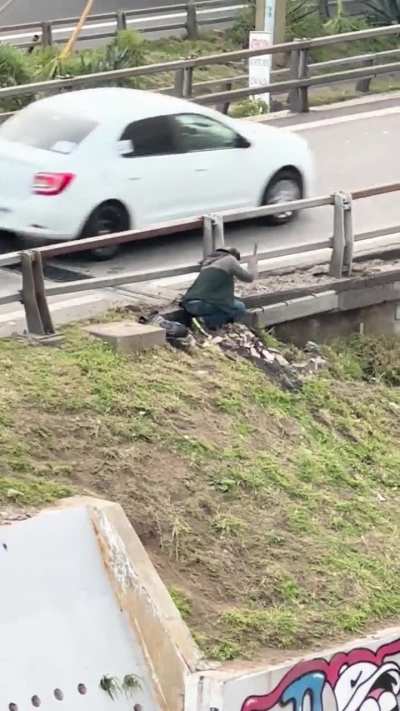 Paquero vs. puente