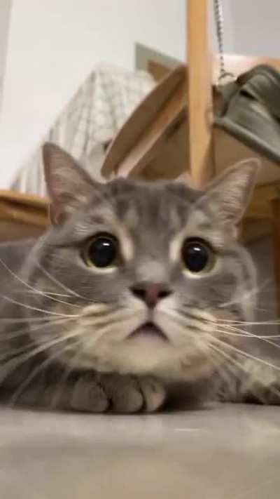 She looks beautiful as she approaches the camera