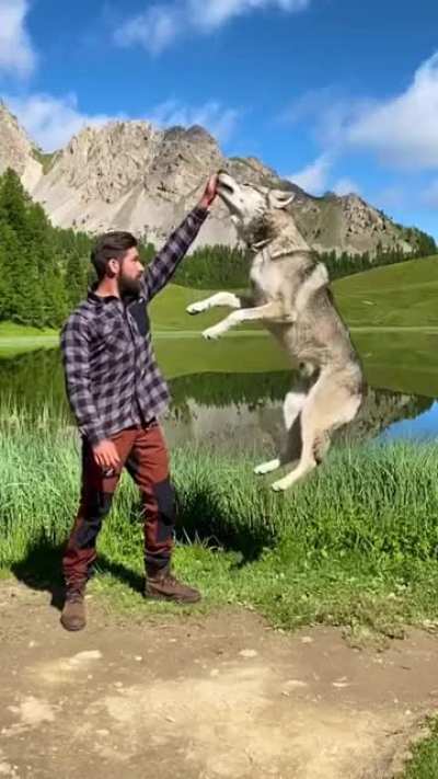 Jumping round the world with good boy