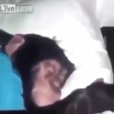 Wake up little monke