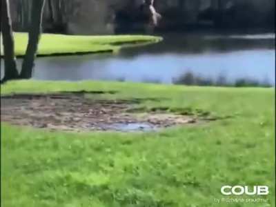 Я свободен