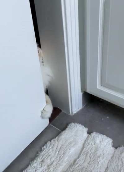 The trill of satisfaction from opening the door to the bathroom where I’m at…