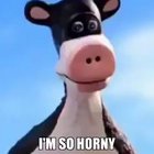 diskrod.mp4