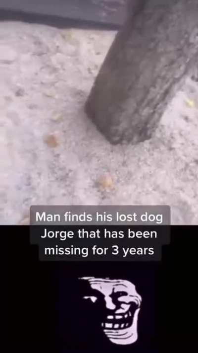 enough to make a grown man cry ;(