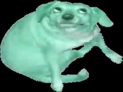 Bom dia =3