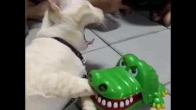 D: