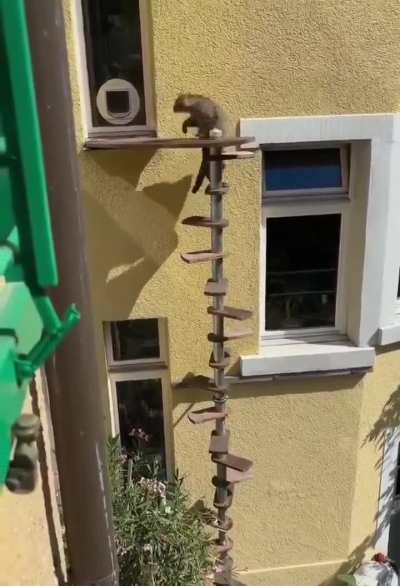 Owner built these special stairs for her cat