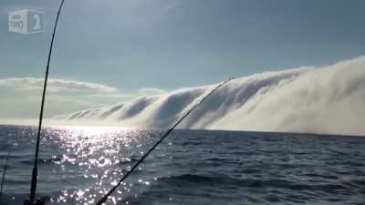 a tsunami of fog