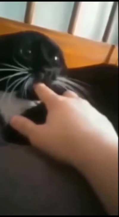 😡 🥺