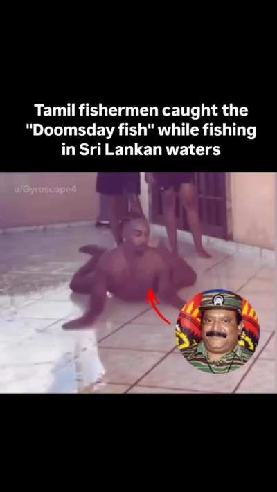 What fish is this?
