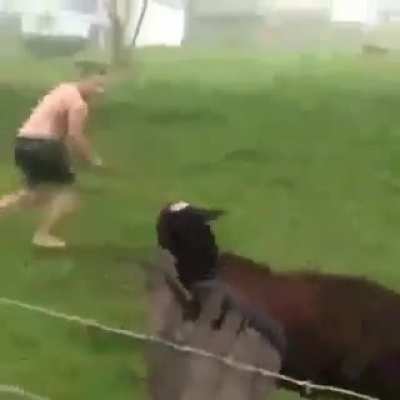 Gordinho pica