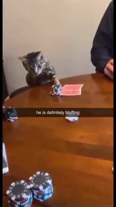 He's all in.