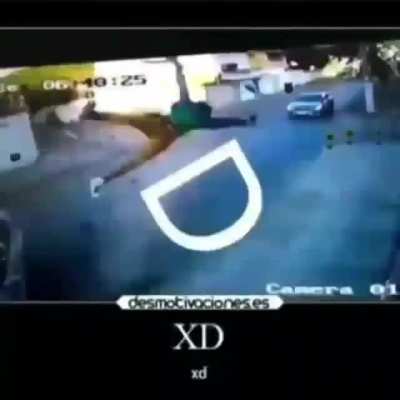 xd 😎