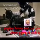 فروي ديك ضرطة القضيب troll nigga تحذير مؤخرة السفينة نتن جدا goat fard furry sex basketball fart