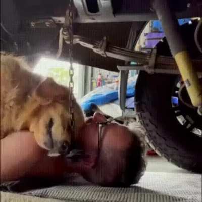 Собакен