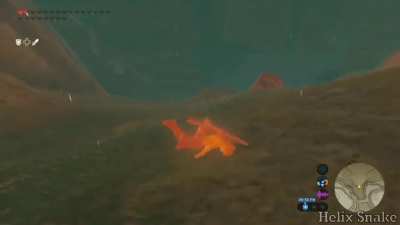 Special Shield Surfing Spectacle