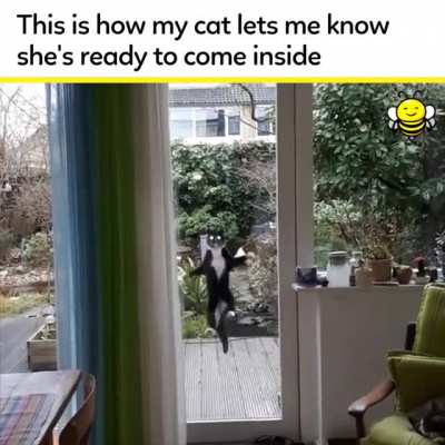 I can't stop laughing at this
