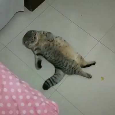 Boss Mood